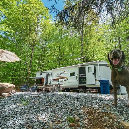 Rv Adventure Roscoe Pet Friendly Hotel Exterior foto