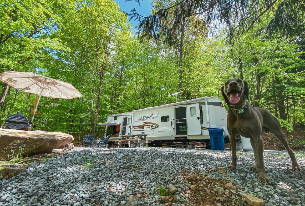 Rv Adventure Roscoe Pet Friendly Hotel Exterior foto